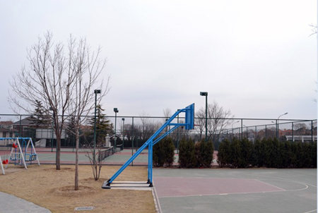 ı
